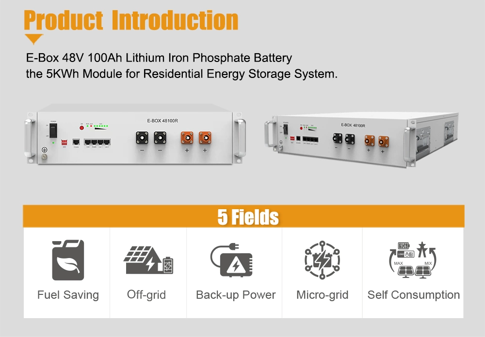 Pytes 48V 100ah Bess Lithium Battery with BMS Home Solar Renewable Energy System LiFePO4 Battery