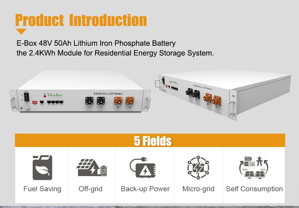 Pytes-4850 2.4kwh Bess OEM ODM LFP Lithium Ion Battery with BMS for Solar Energy Storage System